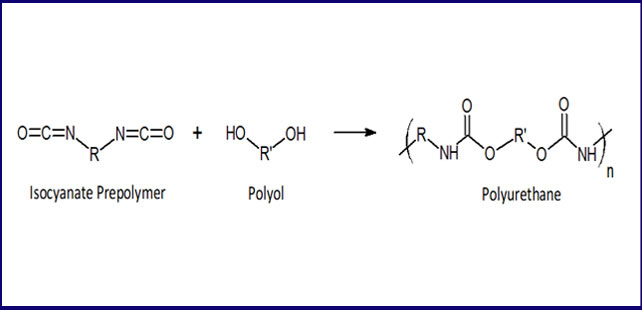 The synthesis of polyurethane